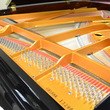 Ritmüller grand piano - Grand Pianos